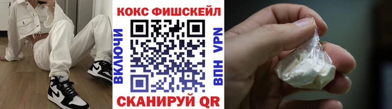 Купить закладки  Сухиничи  Cocaine FishScale 