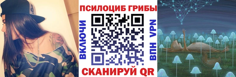 Галлюциногенные грибы ЛСД  Купить где  Сухиничи 